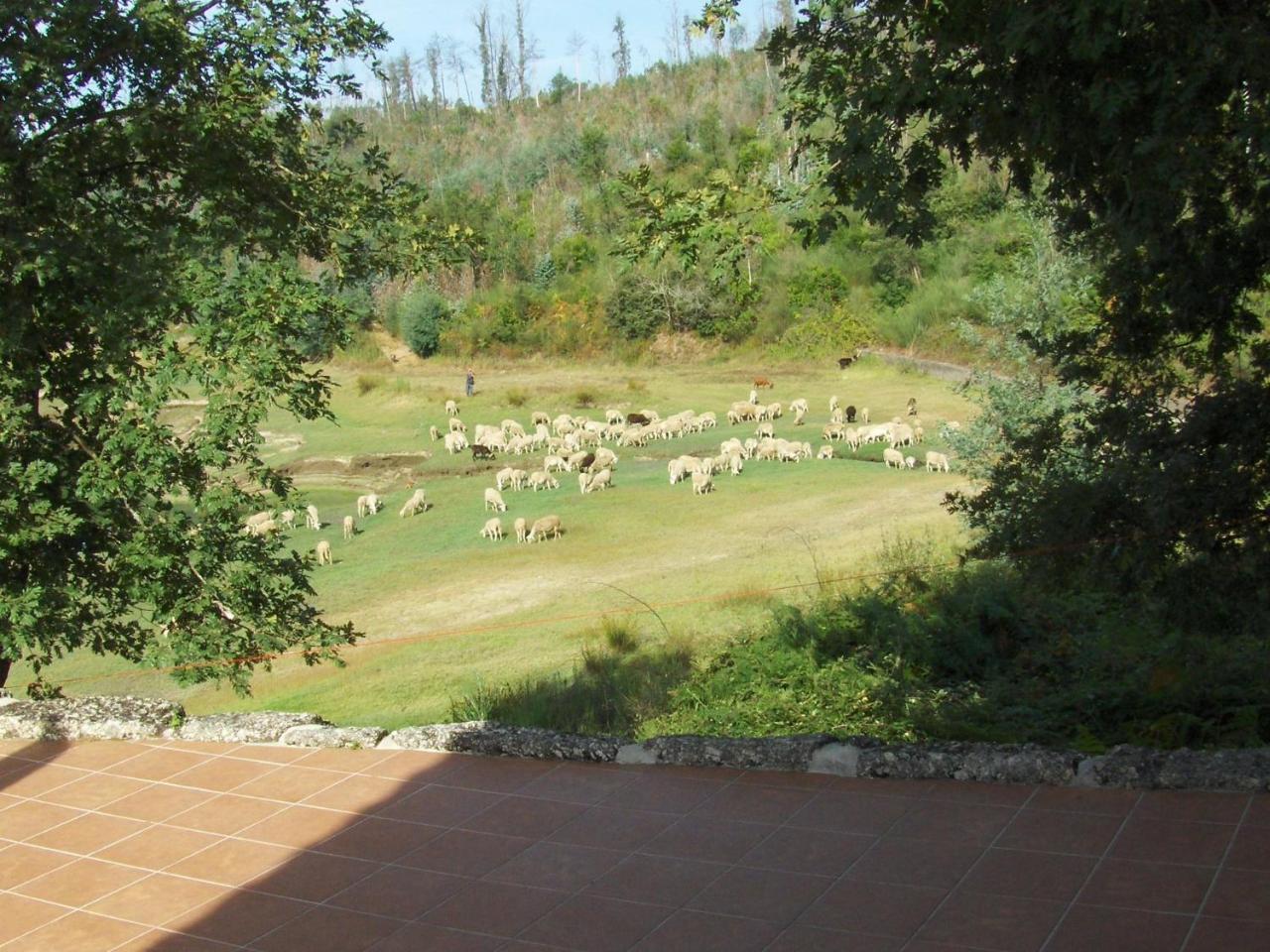 Traditional Mansion In Treixedo With Swimming Pool Exterior foto